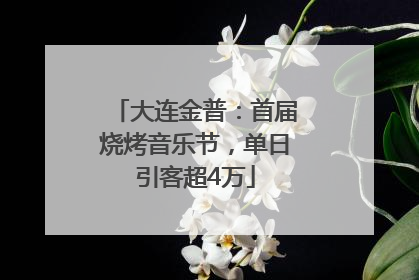大连金普：首届烧烤音乐节，单日引客超4万