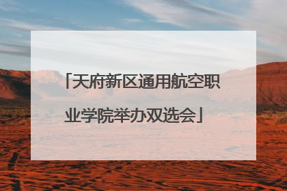 天府新区通用航空职业学院举办双选会
