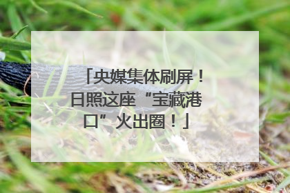 央媒集体刷屏！日照这座“宝藏港口”火出圈！