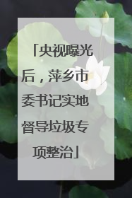 央视曝光后，萍乡市委书记实地督导垃圾专项整治