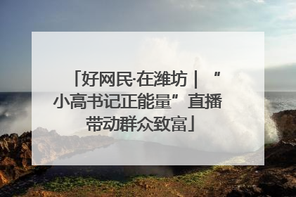 好网民·在潍坊｜“小高书记正能量”直播 带动群众致富
