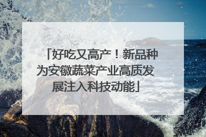 好吃又高产！新品种为安徽蔬菜产业高质发展注入科技动能