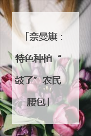 奈曼旗：特色种植“鼓了”农民腰包