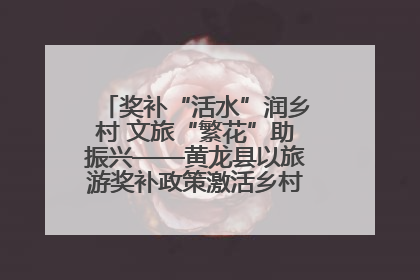 奖补“活水”润乡村 文旅“繁花”助振兴——黄龙县以旅游奖补政策激活乡村振兴新动能