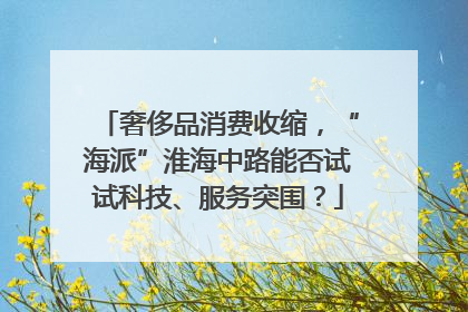 奢侈品消费收缩，“海派”淮海中路能否试试科技、服务突围？