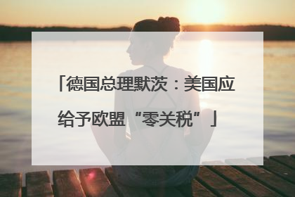 德国总理默茨：美国应给予欧盟“零关税”