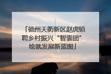 德州天衢新区赵虎镇聘乡村振兴“智囊团” 绘就发展新蓝图