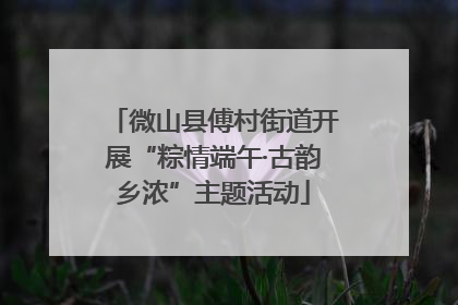 微山县傅村街道开展“粽情端午·古韵乡浓”主题活动