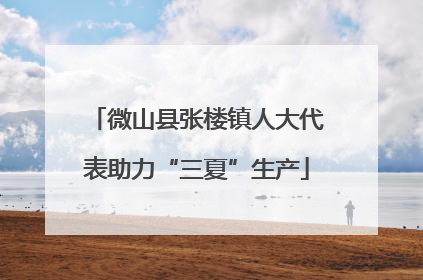 微山县张楼镇人大代表助力“三夏”生产