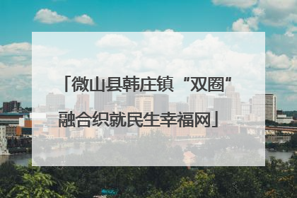 微山县韩庄镇“双圈”融合织就民生幸福网