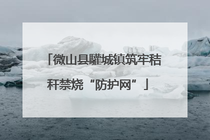 微山县驩城镇筑牢秸秆禁烧“防护网”
