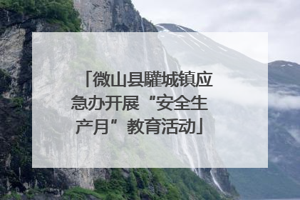 微山县驩城镇应急办开展“安全生产月”教育活动
