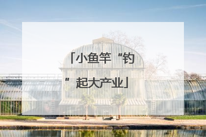 小鱼竿“钓”起大产业