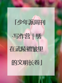 少年派周刊·写作营｜绣在武陵褶皱里的文明长卷
