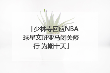 少林寺回应NBA球星文班亚马闭关修行 为期十天