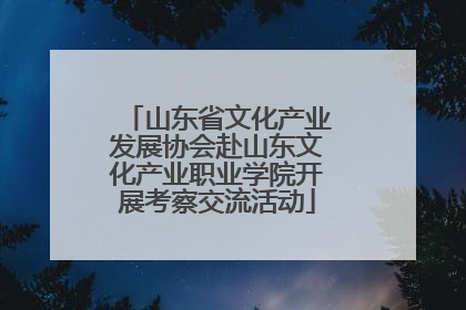 山东省文化产业发展协会赴山东文化产业职业学院开展考察交流活动