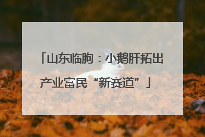 山东临朐：小鹅肝拓出产业富民“新赛道”