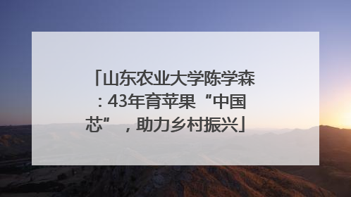 山东农业大学陈学森：43年育苹果“中国芯”，助力乡村振兴