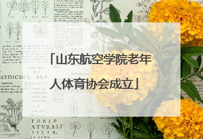 山东航空学院老年人体育协会成立