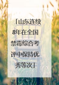 山东连续8年在全国禁毒综合考评中保持优秀等次