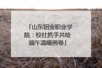山东铝业职业学院：校社携手共绘端午温暖画卷