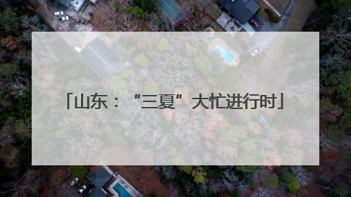 山东：“三夏”大忙进行时