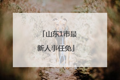 山东1市最新人事任免