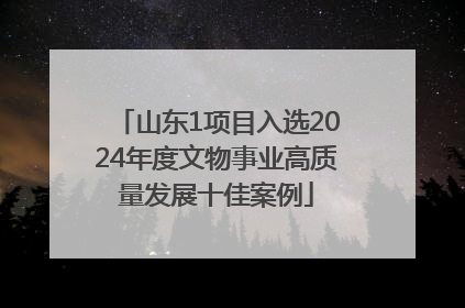 山东1项目入选2024年度文物事业高质量发展十佳案例