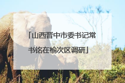 山西晋中市委书记常书铭在榆次区调研