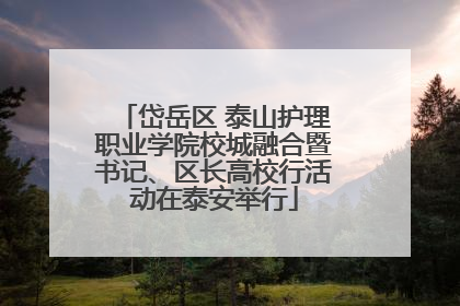 岱岳区 泰山护理职业学院校城融合暨书记、区长高校行活动在泰安举行