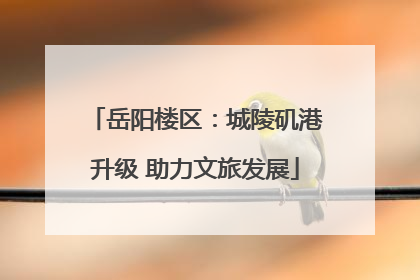 岳阳楼区：城陵矶港升级 助力文旅发展