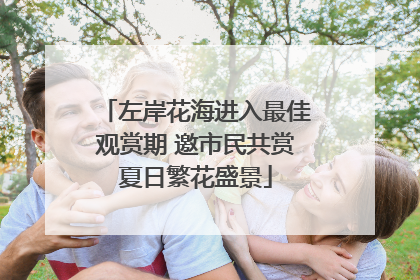 左岸花海进入最佳观赏期 邀市民共赏夏日繁花盛景