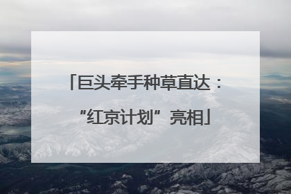 巨头牵手种草直达：“红京计划”亮相