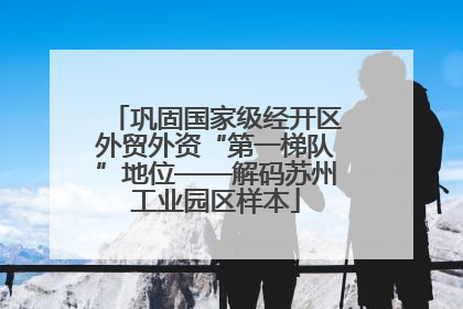 巩固国家级经开区外贸外资“第一梯队”地位——解码苏州工业园区样本