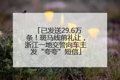 已发送29.6万条！斑马线前礼让，浙江一地交警向车主发“夸夸”短信