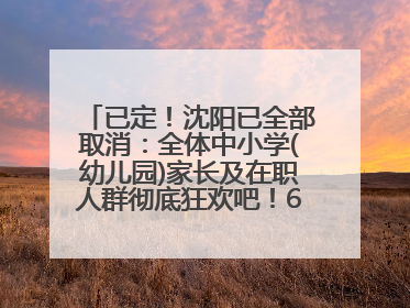 已定！沈阳已全部取消：全体中小学(幼儿园)家长及在职人群彻底狂欢吧！6月17日开始实行！18岁及以上可参加25年学历提升报名！