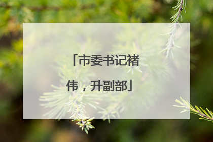市委书记褚伟，升副部