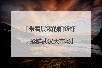 带着晨露的阳新虾，抢鲜武汉大市场