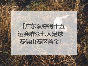 广东队夺得十五运会群众七人足球赛佛山赛区首金