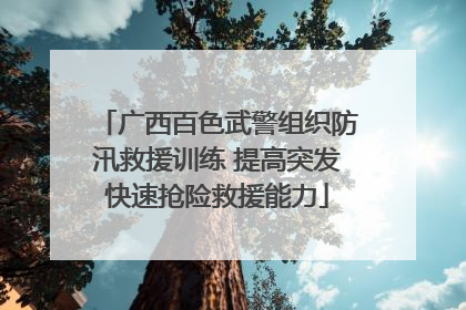 广西百色武警组织防汛救援训练 提高突发快速抢险救援能力