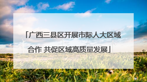 广西三县区开展市际人大区域合作 共促区域高质量发展