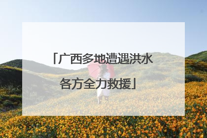 广西多地遭遇洪水 各方全力救援
