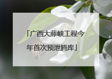 广西大藤峡工程今年首次预泄腾库