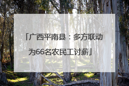 广西平南县：多方联动为66名农民工讨薪