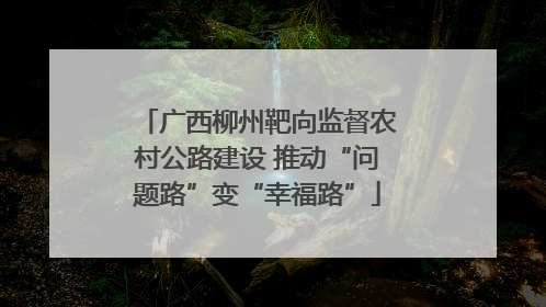 广西柳州靶向监督农村公路建设 推动“问题路”变“幸福路”