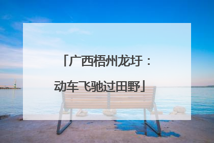 广西梧州龙圩：动车飞驰过田野