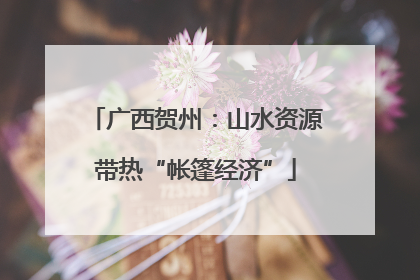 广西贺州：山水资源带热“帐篷经济”