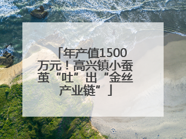 年产值1500万元！高兴镇小蚕茧“吐”出“金丝产业链”