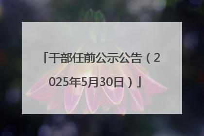 干部任前公示公告（2025年5月30日）