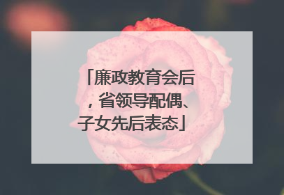 廉政教育会后，省领导配偶、子女先后表态